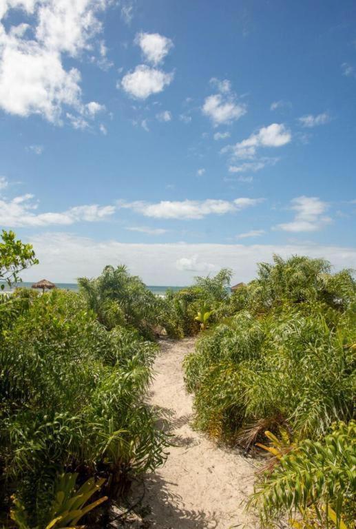 Cond Praia Da Perola - Apt Rosa 7 Ilhéus Exteriér fotografie